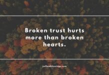 Broken Trust Quotes Broken Trust Quotes