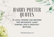 Harry Potter Quotes