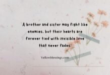 Heart Touching Emotional Brother and Sister Quotes